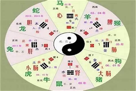 王五行|[汉字王的五行属性是什么